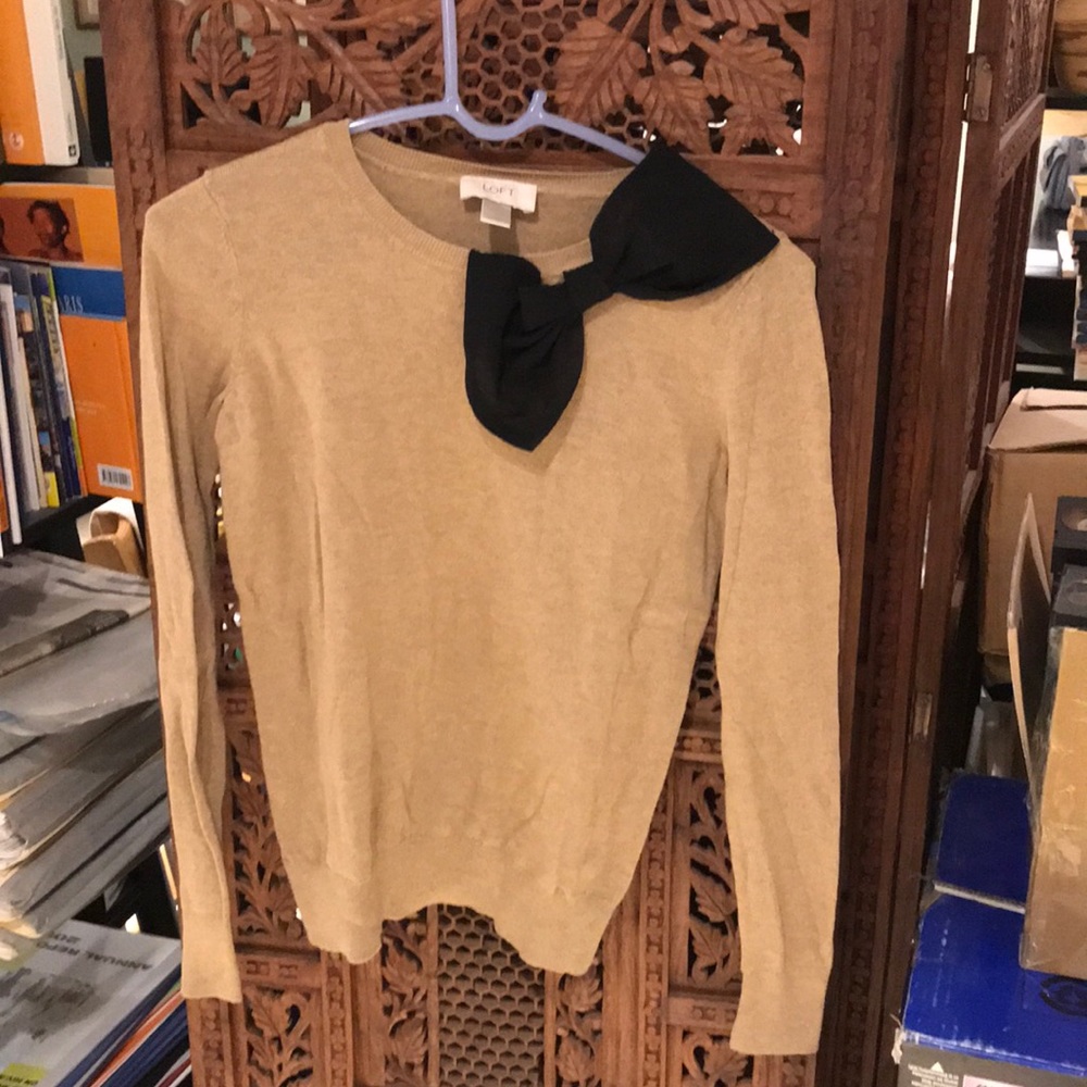Ann Taylor Loft Sweater